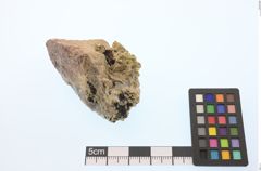 Foto von Gold (NHMW-MIN-Aa2566)